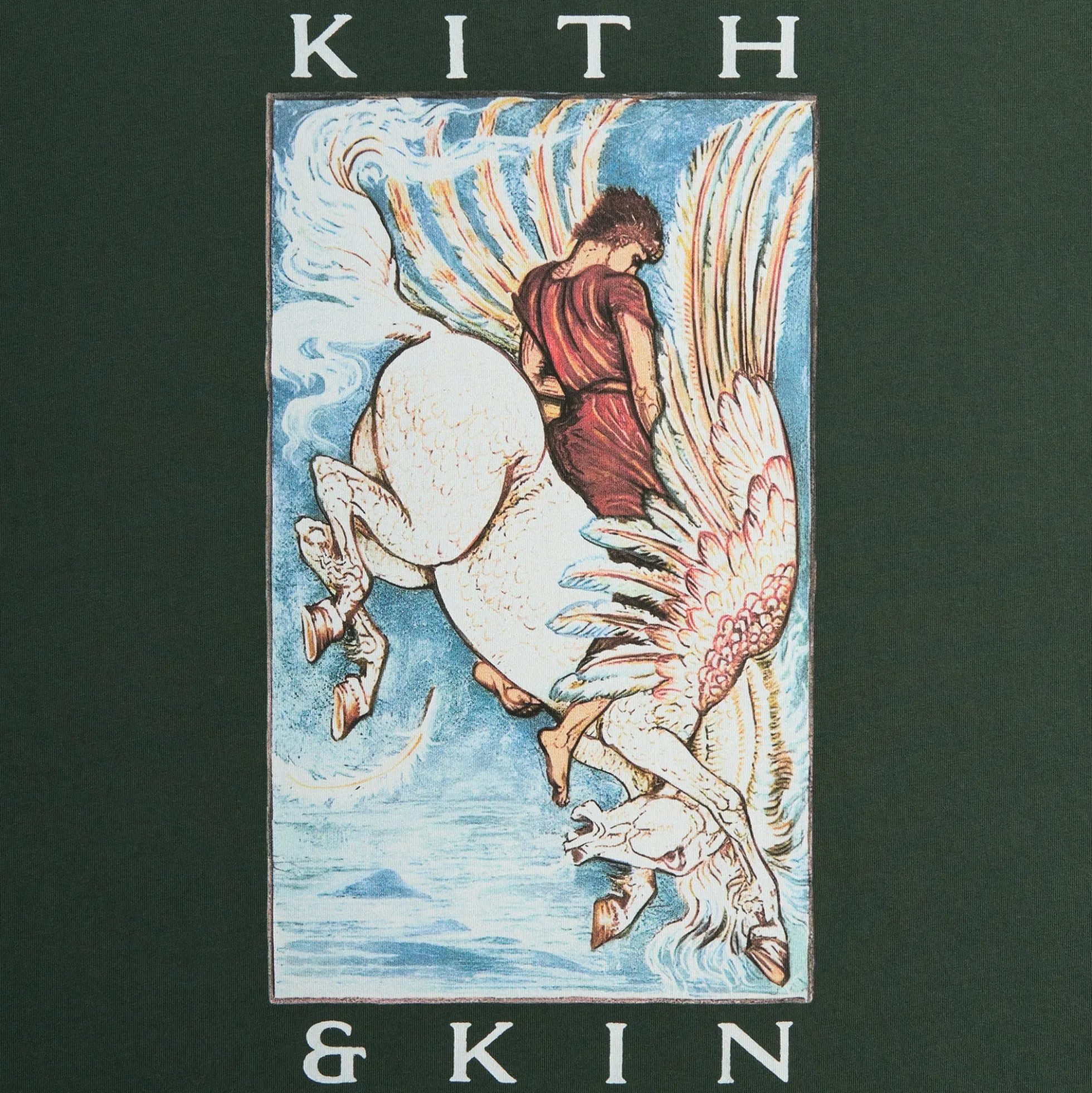 T-shirt Pegasus de Kith & Kin