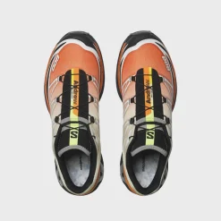x Andrew XT-6